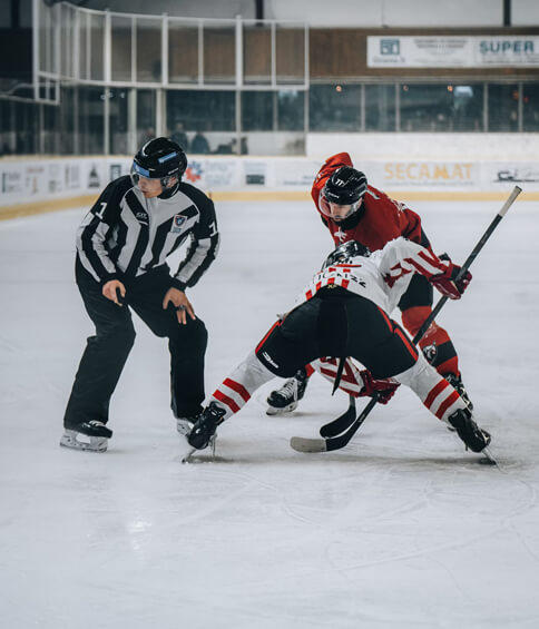 hockey game